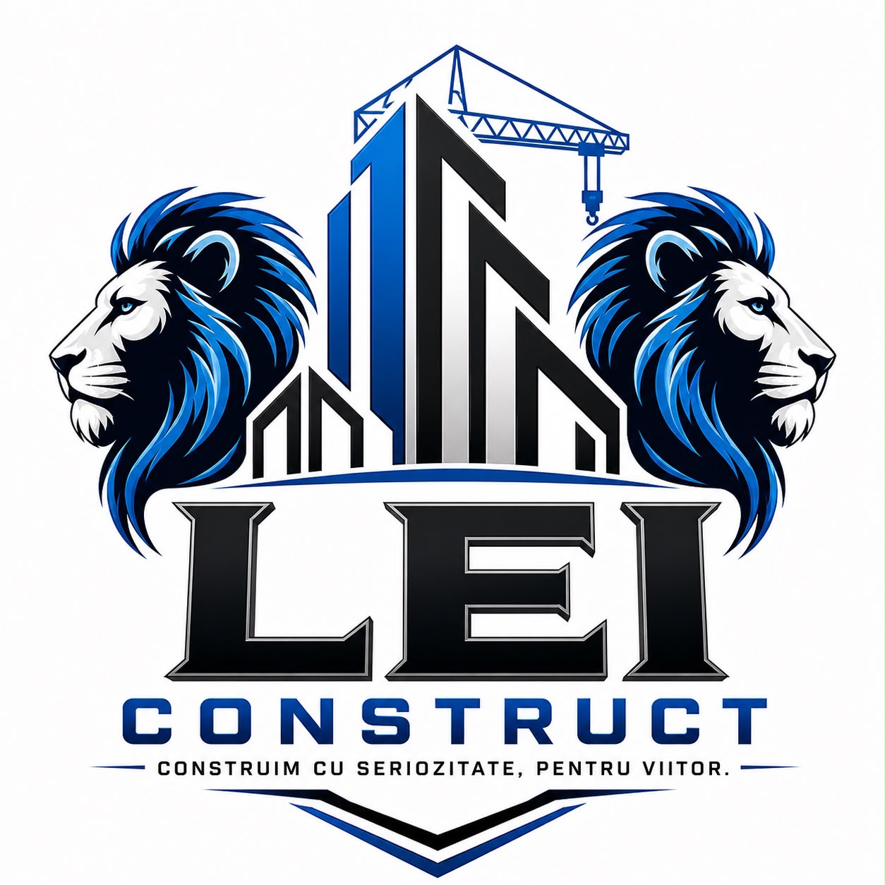 LEI CONSTRUCT — Construim cu seriozitate, pentru viitor.